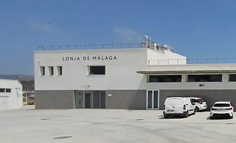 LLOTJA-POSTER